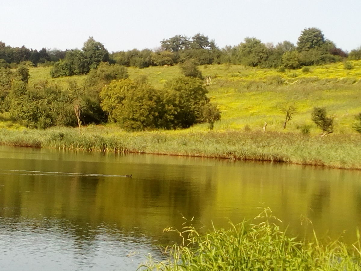 Fotos sobre el clima en Chernivtsi. Pronósticos del tiempo con hermosas fotos de Lio_Lite
