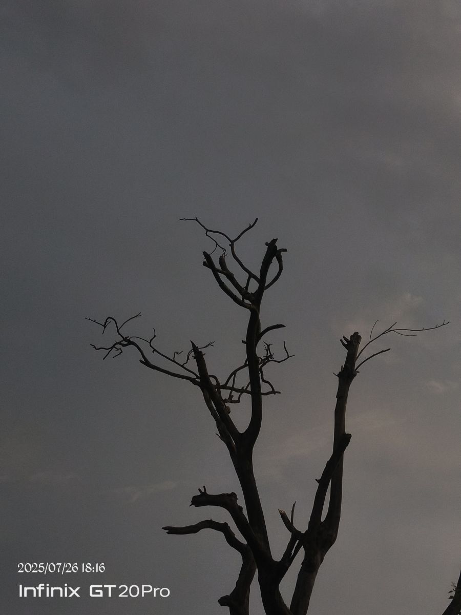 Hình ảnh Thời tiết ở West Bengal. Dự báo thời tiết với những bức ảnh đẹp của lonely_shit_xyz