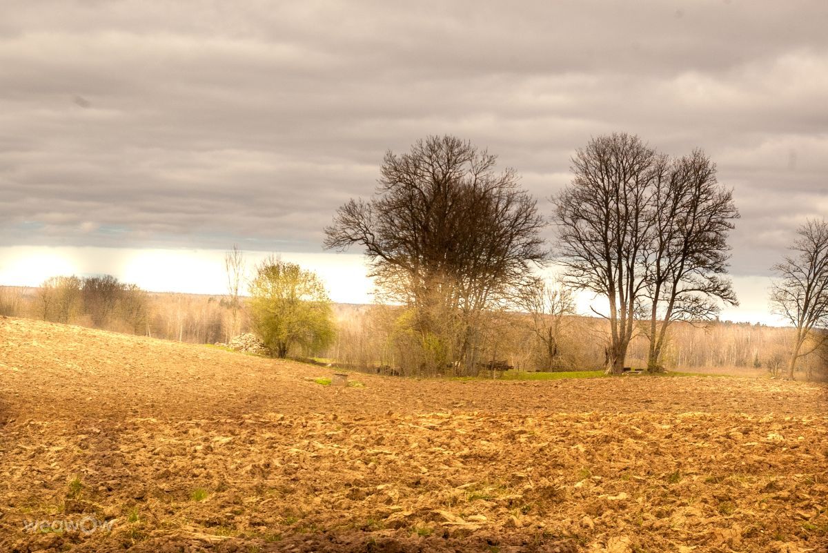 Weather Photos in Latvia. Weather forecasts with beautiful photos by Jaunskalze Raimonds