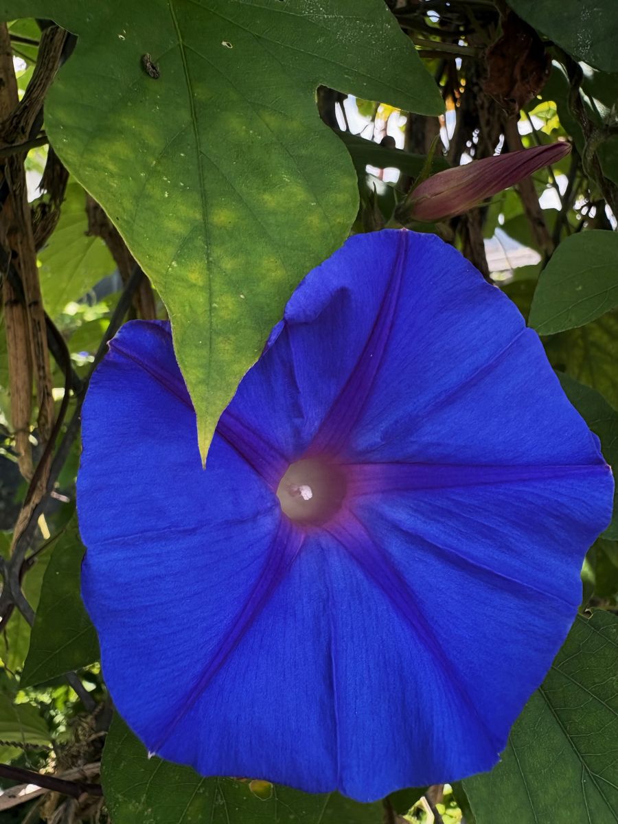 Weather Photos in Réunion. Weather forecasts with beautiful photos by RoséeEcarlarte