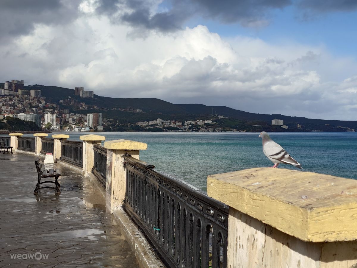 Weather forecasts with beautiful photos by Rez_leyla