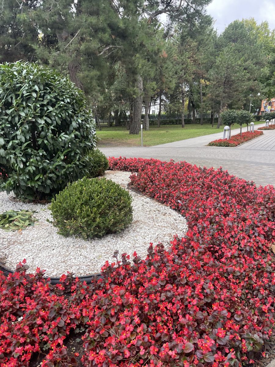 Фотографии Погоды в Анапа. Прогнозы погоды с чудесными фотографиями, сделанными Vera22