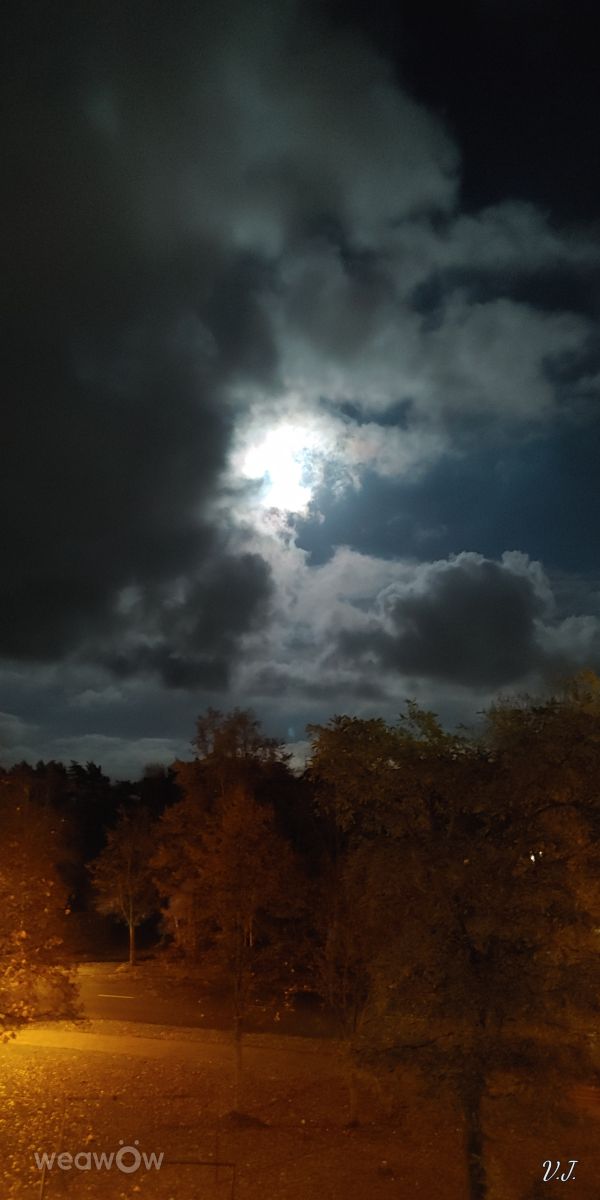 パランガの天気写真. Jazzinevirgaの美しい写真による天気予報