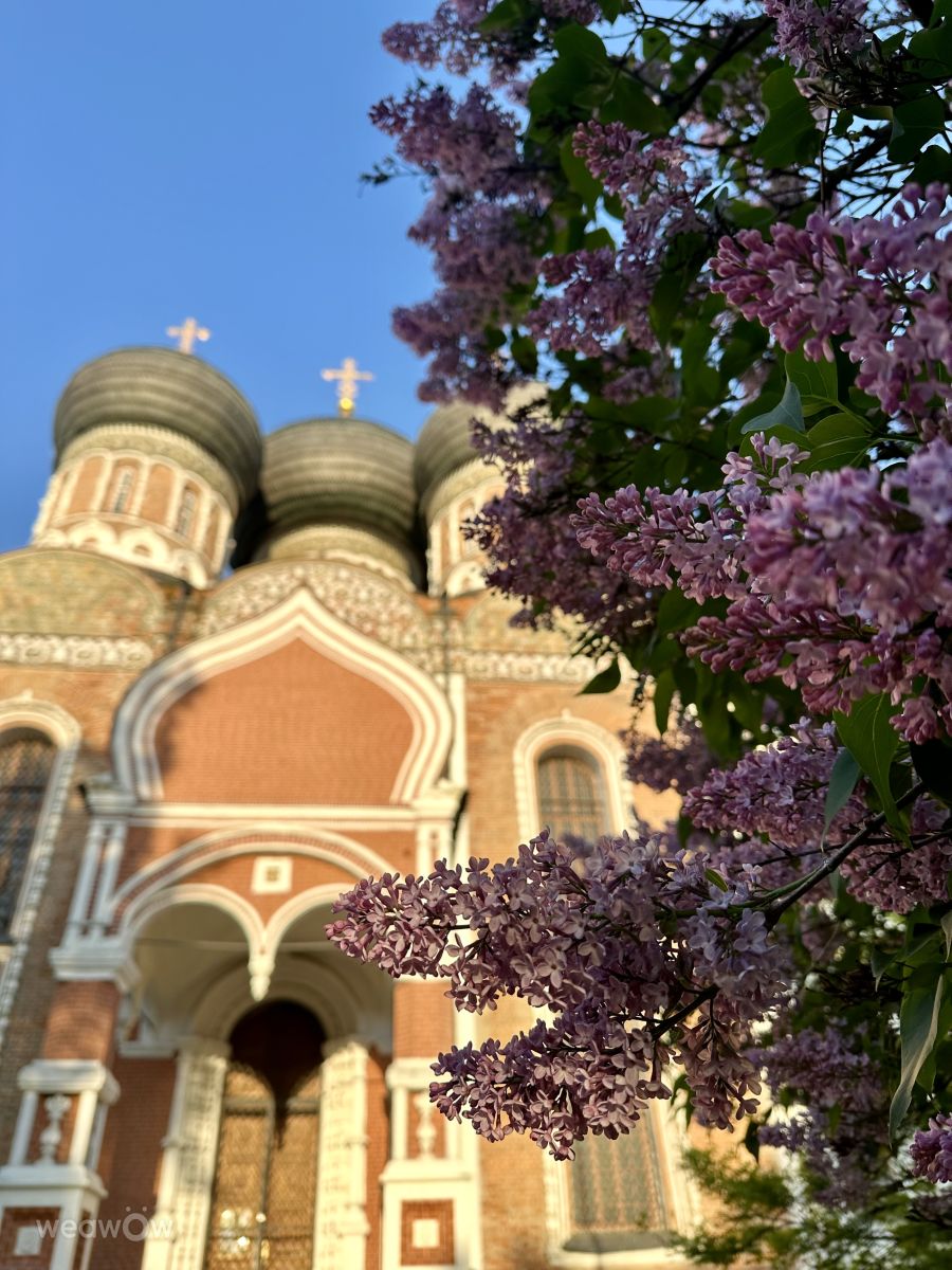 Weather Photos in Izmaylovo. Weather forecasts with beautiful photos by Ritha