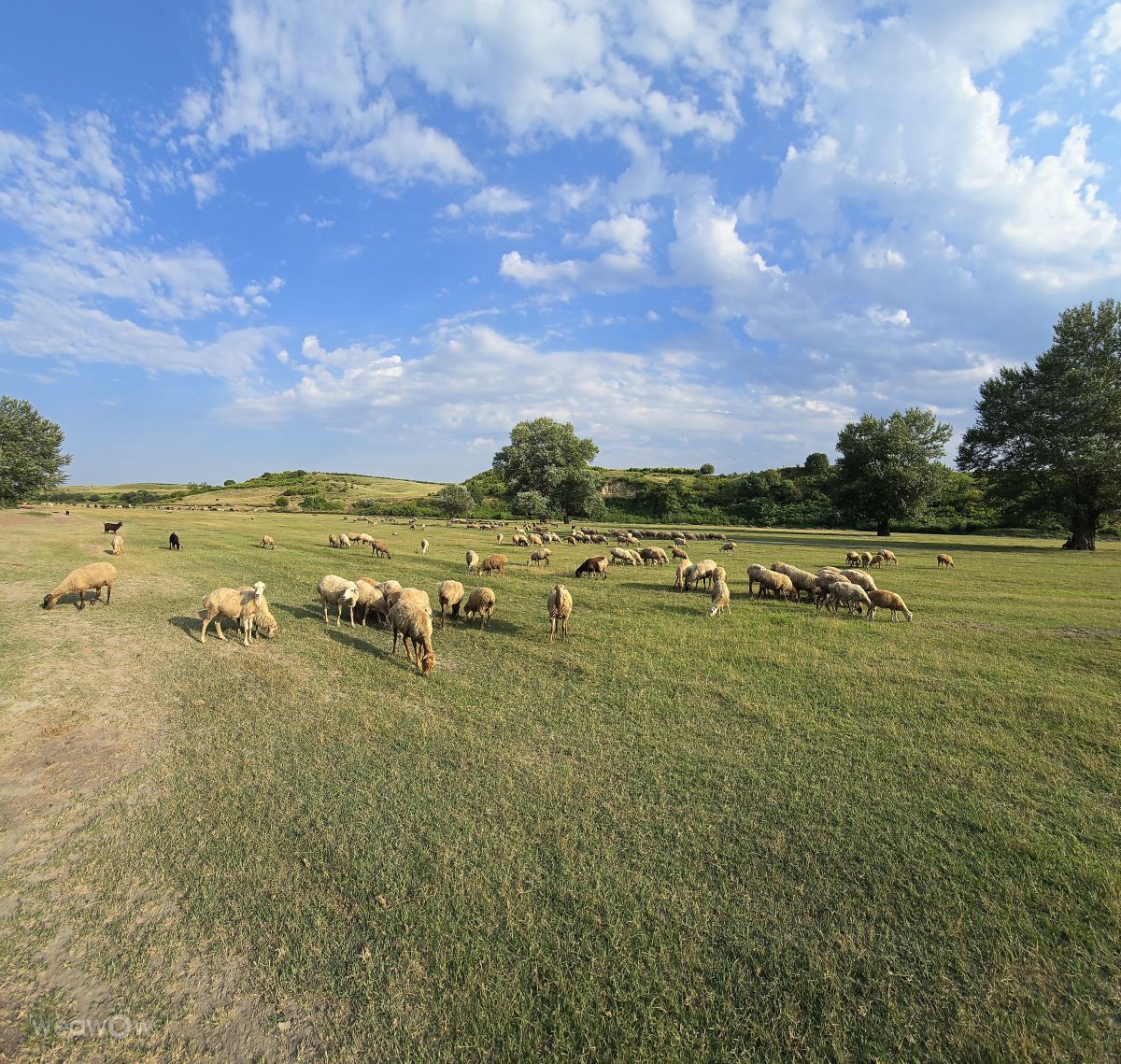 Weather forecasts with beautiful photos by Mila_