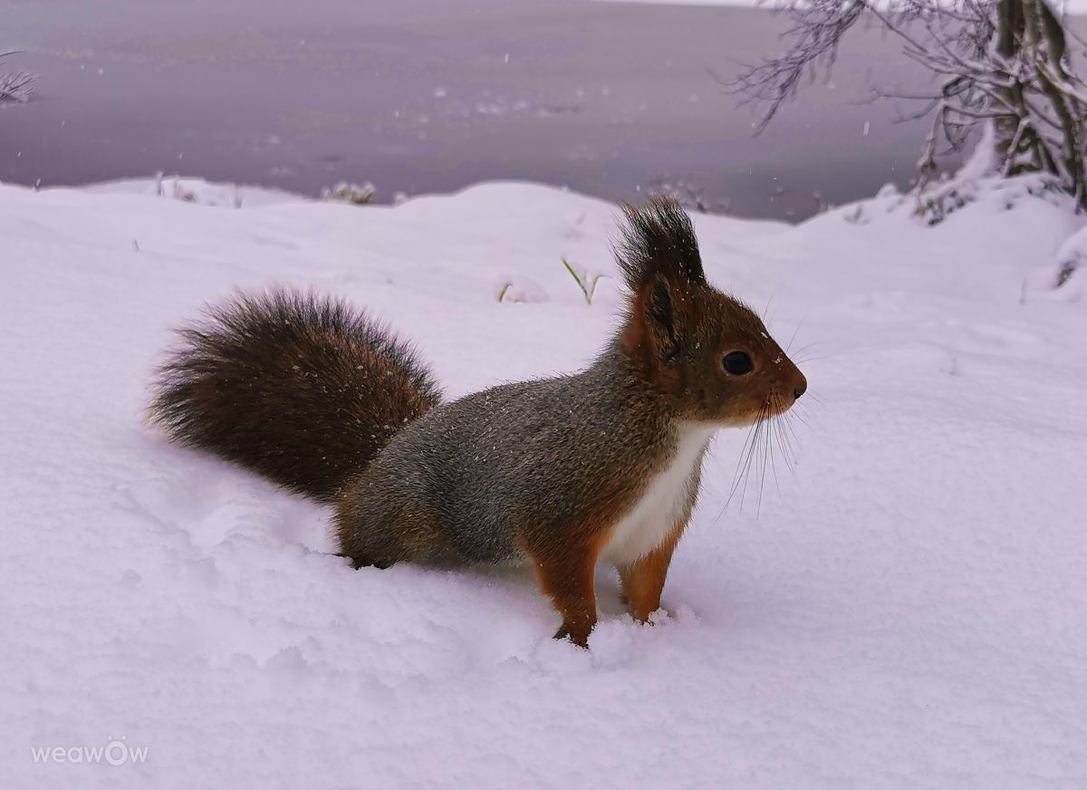 Fotos do tempo em Kirovsk. Previsões do tempo com lindas fotos de Eva_Eva