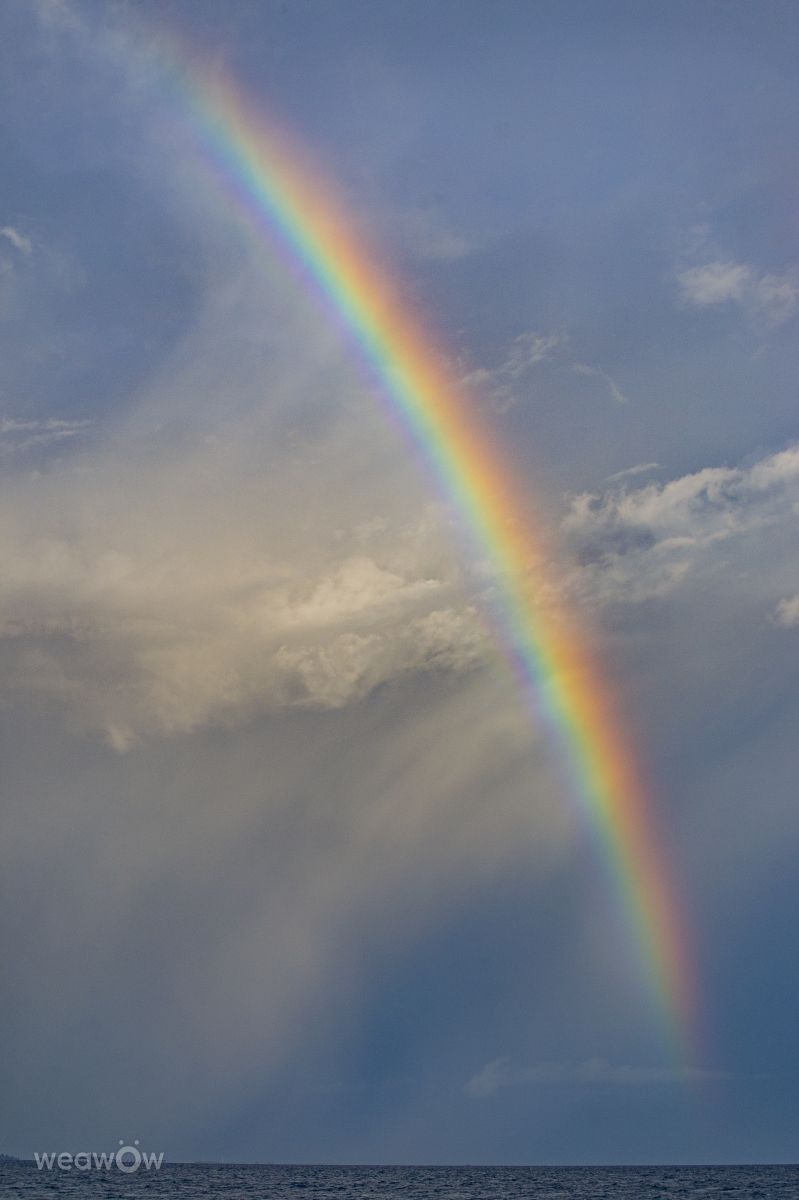 Weather forecasts with beautiful photos by White