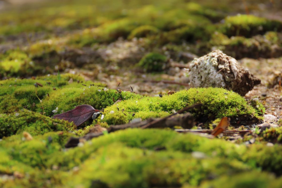 Weather Photos in Western Cape. Weather forecasts with beautiful photos by Step_Gently