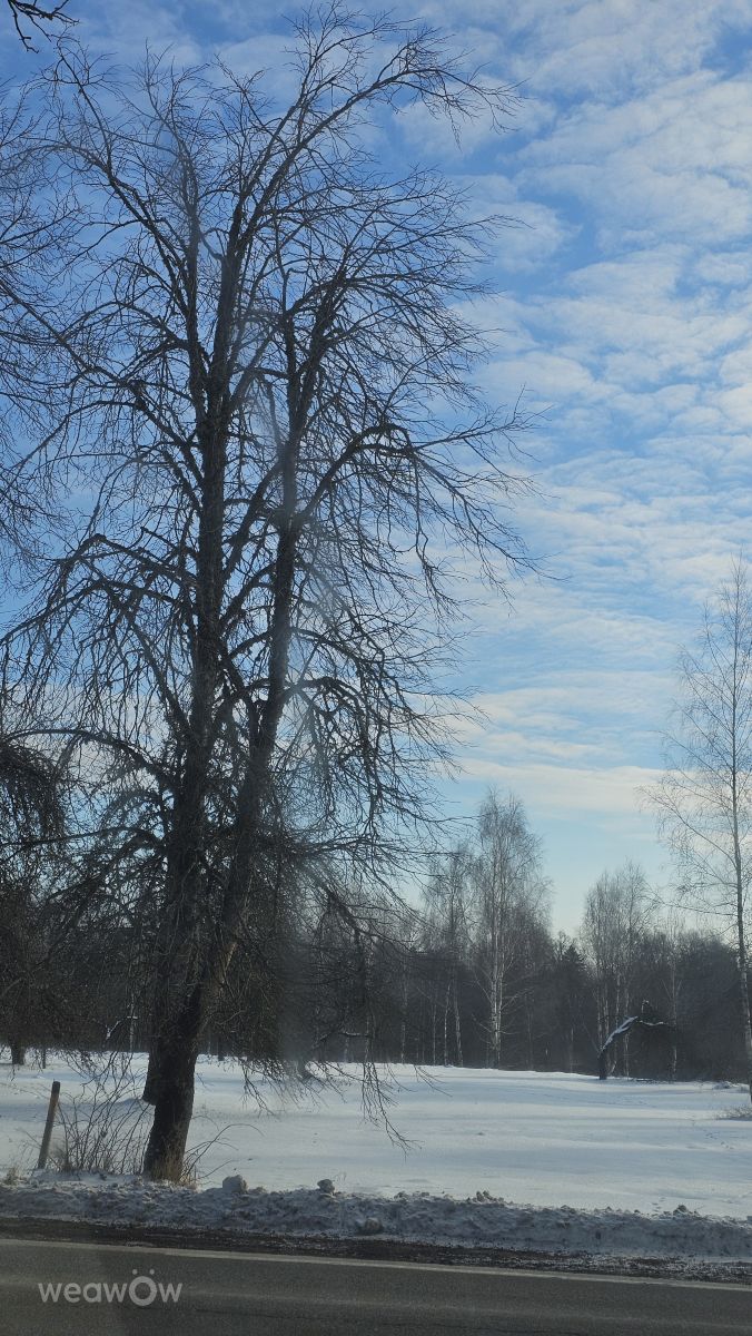 Fotos do tempo em Ogre. Previsões do tempo com lindas fotos de Sandra Bokisha