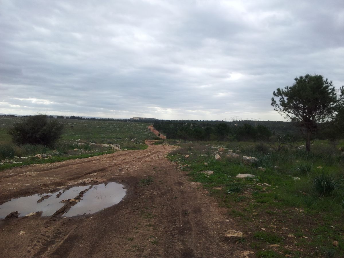 Photos météo à HaMerkaz. Prévisions météo avec de superbes photos de Sviatoslav