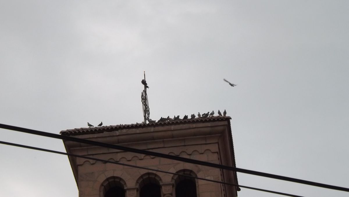 Fotos sobre el clima en Pazardzhik. Pronósticos del tiempo con hermosas fotos de Павел_Петракиев