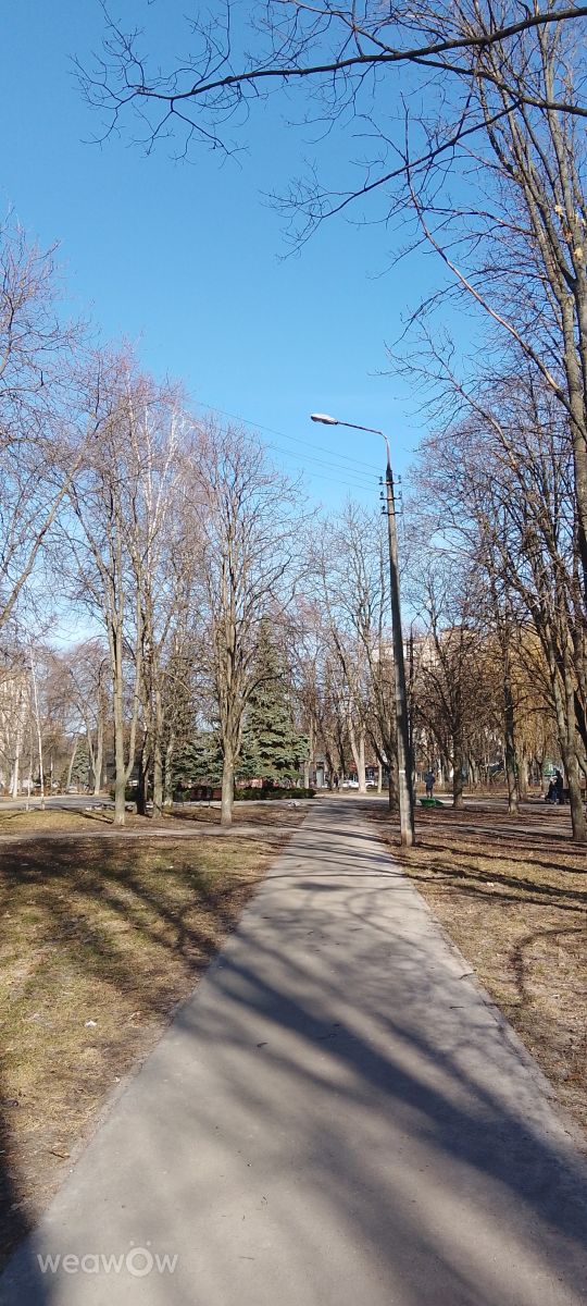 Kyiv City的天气照片. 天气预报，带Toriyanka精美的照片