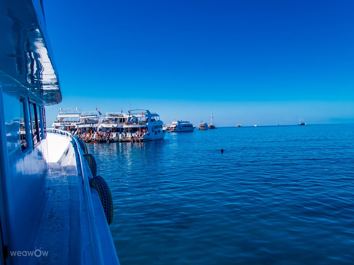 Фотографии Погоды в Египет. Прогнозы погоды с чудесными фотографиями, сделанными czach