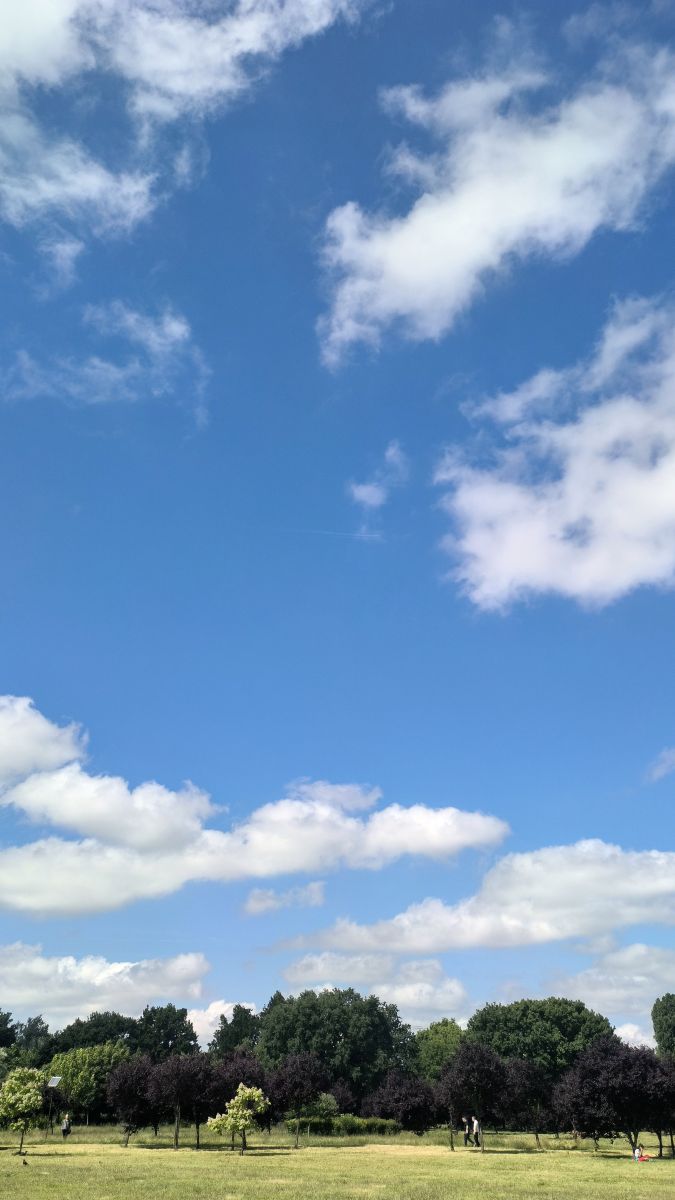 Prévisions météo avec de superbes photos de YanBog