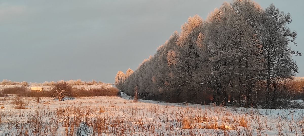 Фотографии Погоды в Чувашия. Прогнозы погоды с чудесными фотографиями, сделанными Вильдим