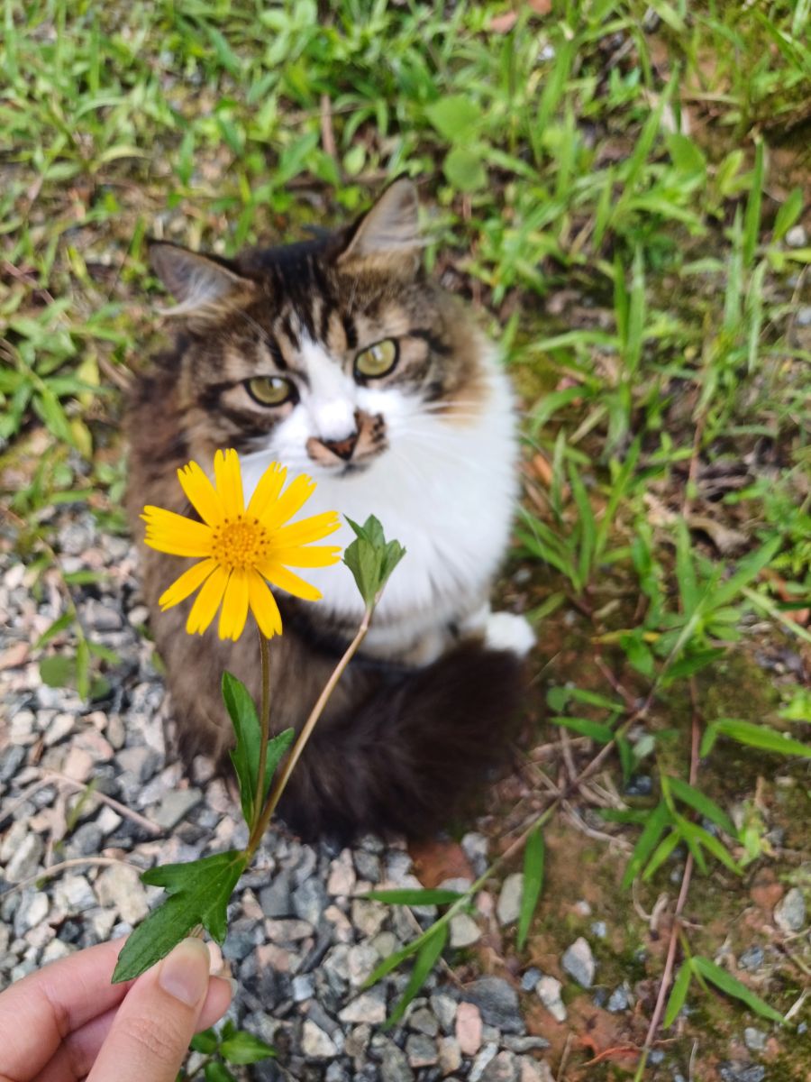 Weather Photos in Brazil. Weather forecasts with beautiful photos by CleusaStupp