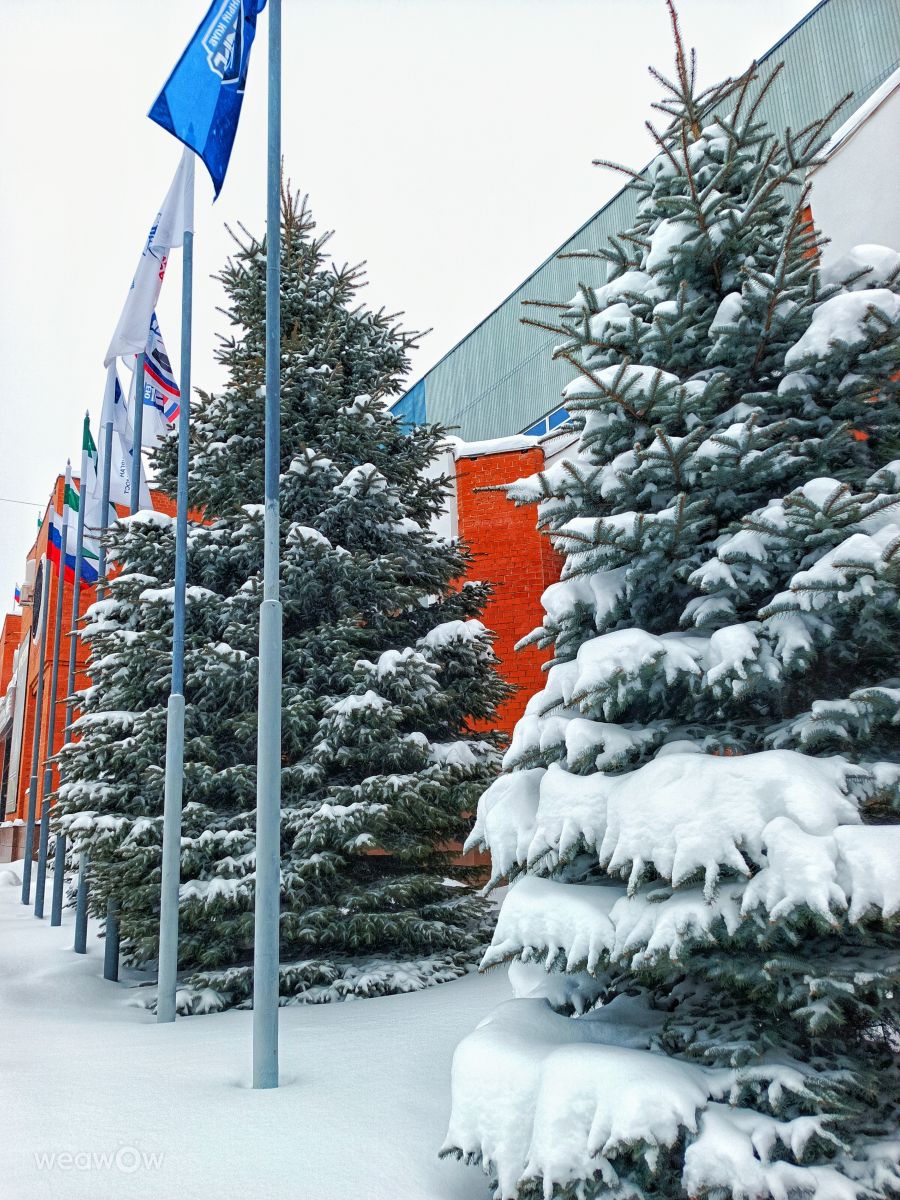 Weather Photos in Kurgan. Weather forecasts with beautiful photos by ElenaMak