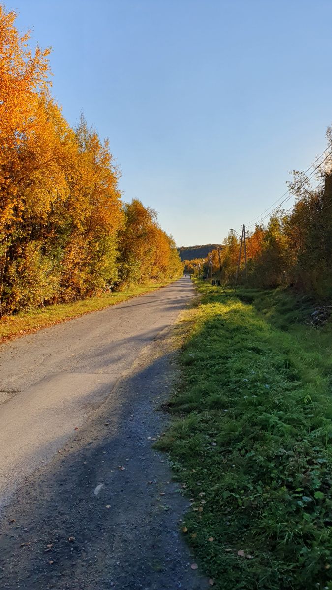 Фотографии Погоды в Киркенес. Прогнозы погоды с чудесными фотографиями, сделанными Femalewind