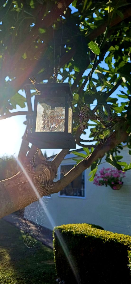 Weather forecasts with beautiful photos by Lolli