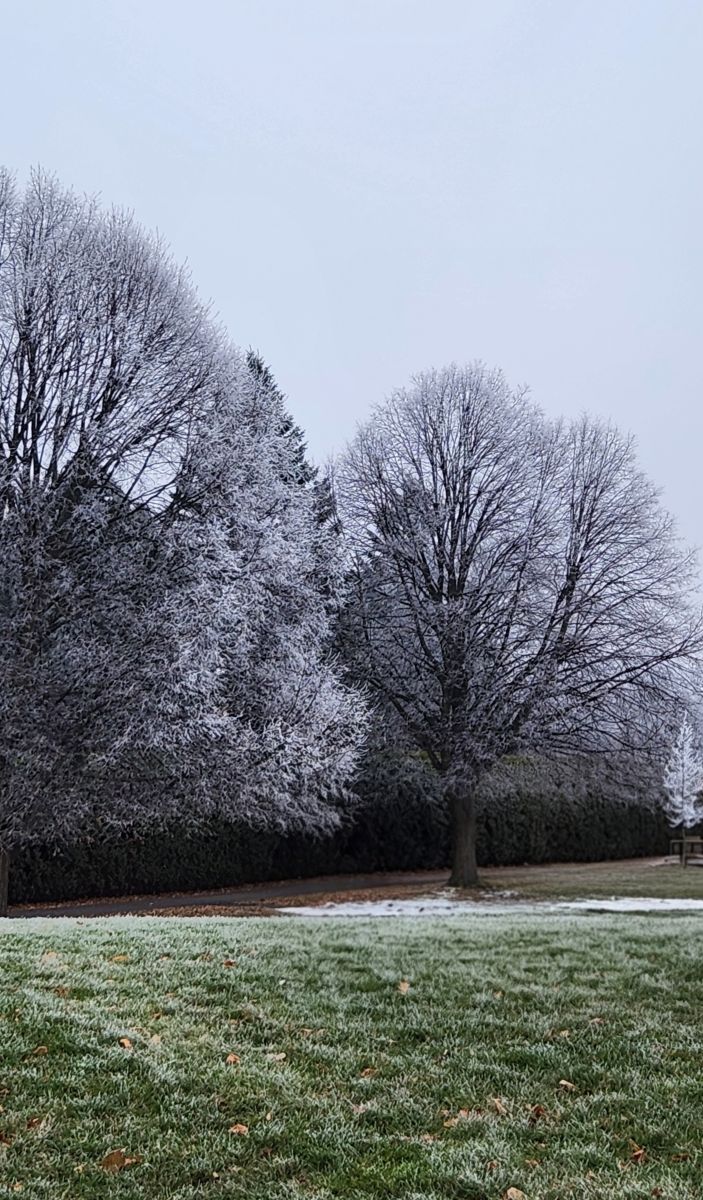Wetter Photos Beaverbrook. Wettervorhersagen mit schönen Fotos von KevinG