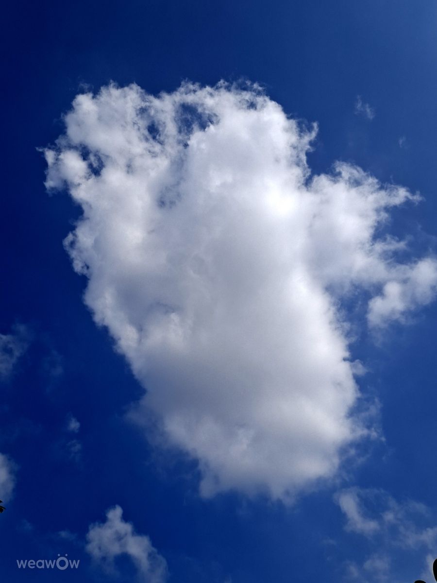 Fotos do tempo em Kaohsiung City. Previsões do tempo com lindas fotos de Wen-ya Huang