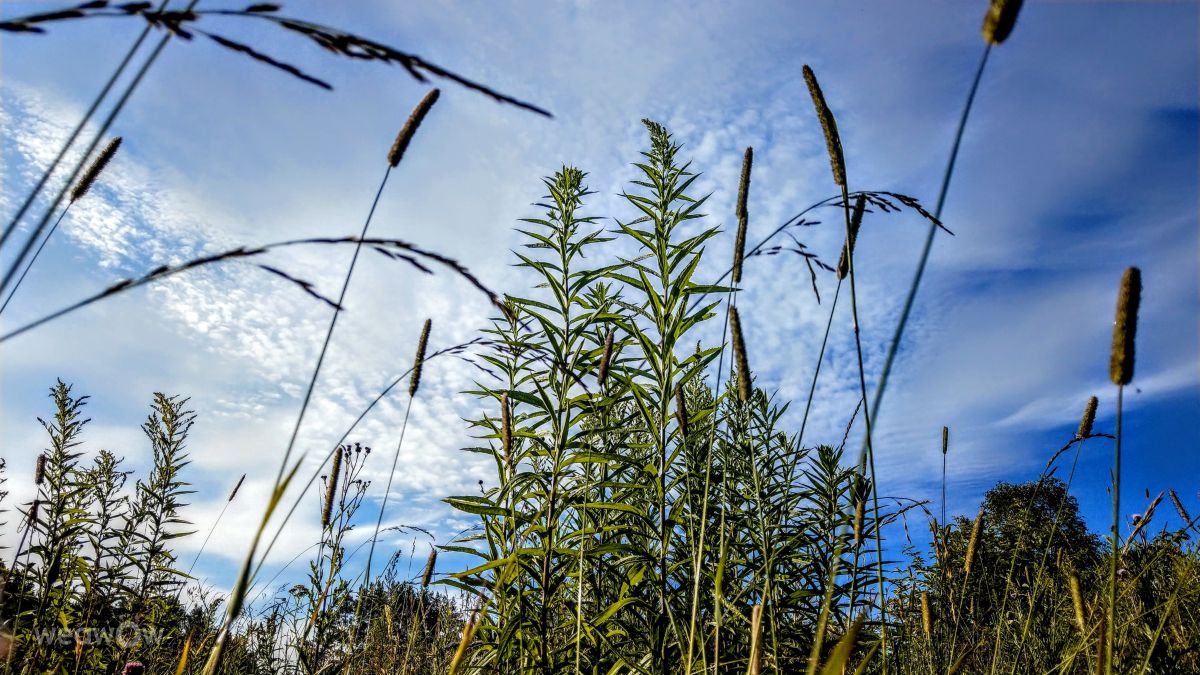 Weather Photos in Isesjøen. Weather forecasts with beautiful photos by Pietro Cici