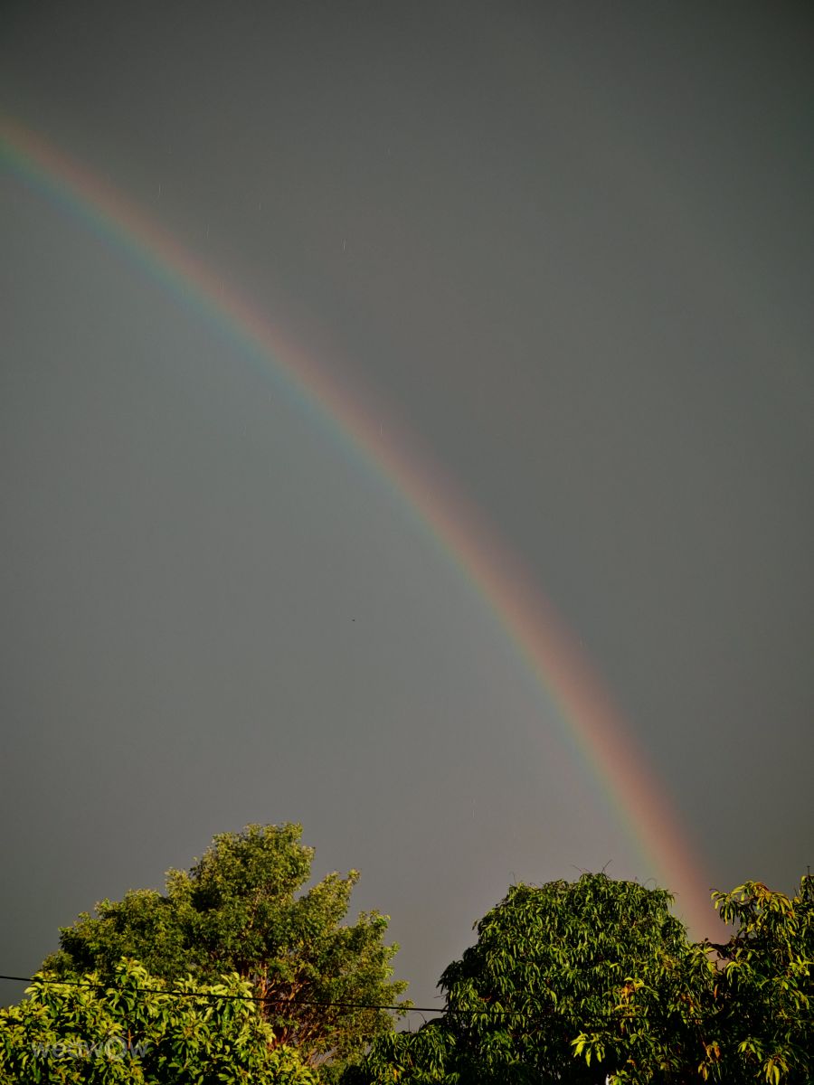 天气预报，带maxidaneli精美的照片