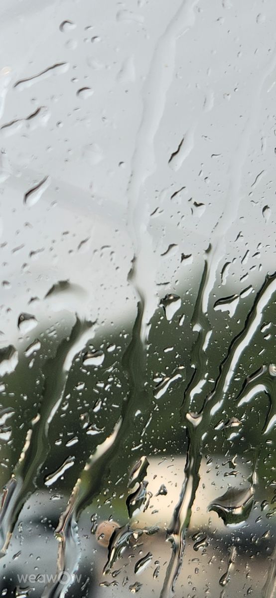 Photographer Rukh-08-08, Weather Photos in Memphis - Weawow