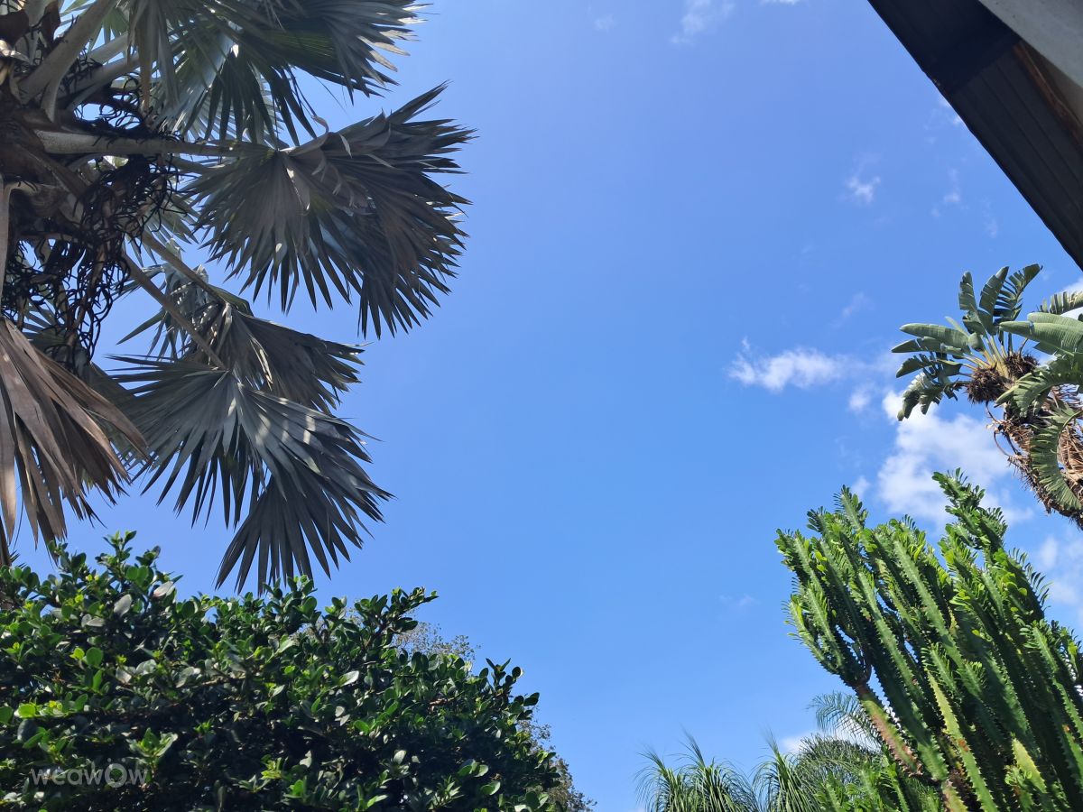 Фотографии Погоды в Фрейбурга. Прогнозы погоды с чудесными фотографиями, сделанными SVorster