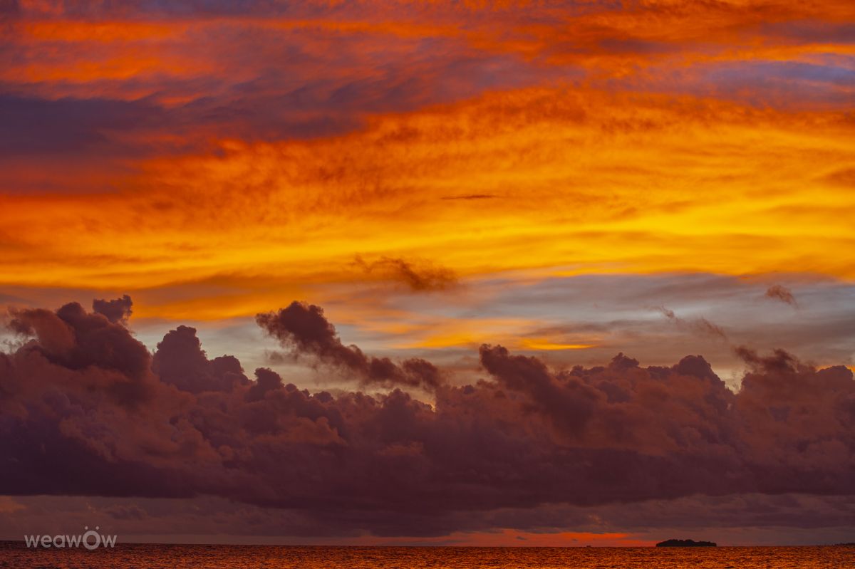 Weather forecasts with beautiful photos by White