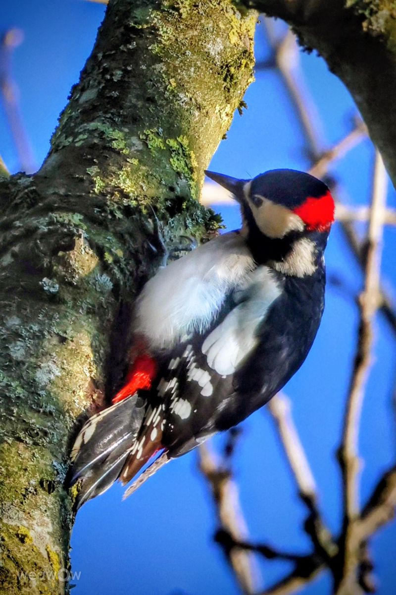 Weather Photos in Wellinghofen. Weather forecasts with beautiful photos by Lotti5507