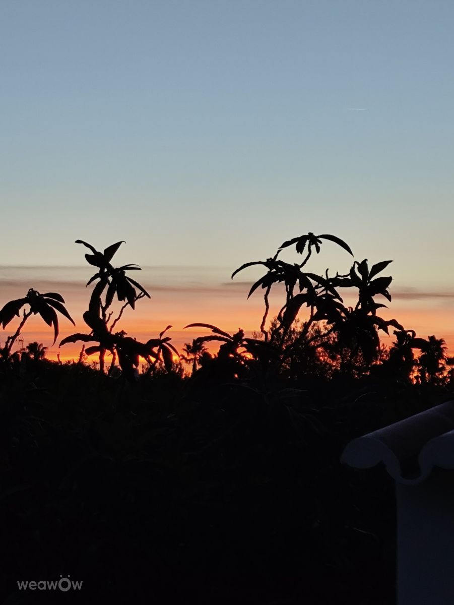 Фотографии Погоды в Praia do Carvoeiro. Прогнозы погоды с чудесными фотографиями, сделанными Brtd