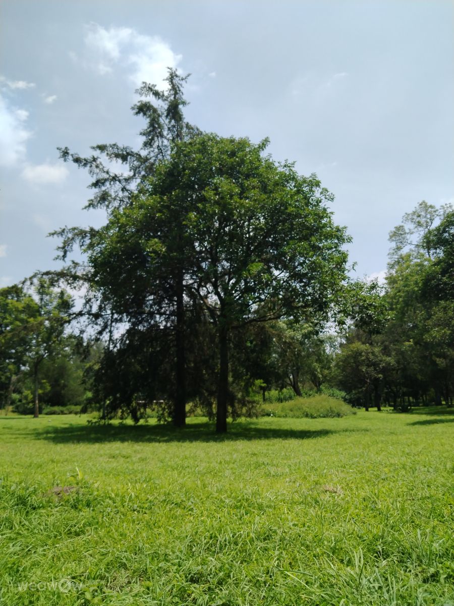 Wetter Photos Mexiko. Wettervorhersagen mit schönen Fotos von Eriq Pheres Loshola