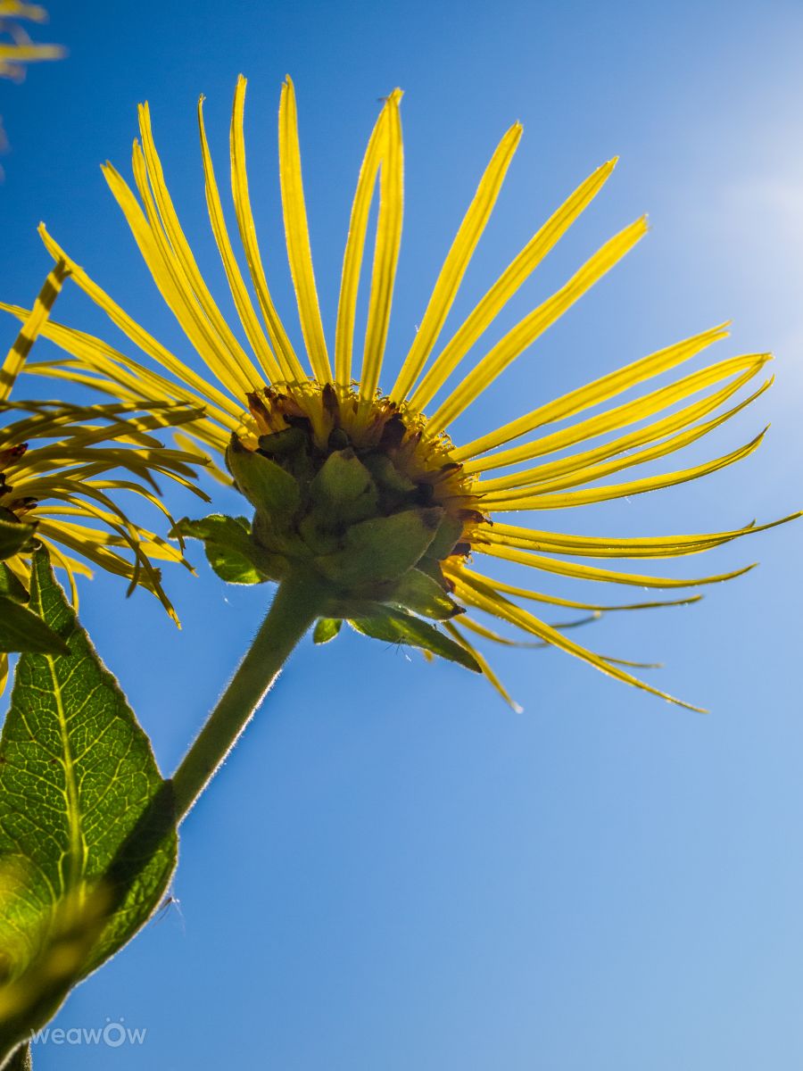 Fotos do tempo em Mikhnevo. Previsões do tempo com lindas fotos de Alex_M_Pakarev