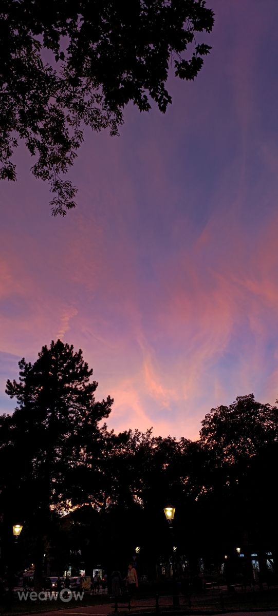 Weather forecasts with beautiful photos by dacooff