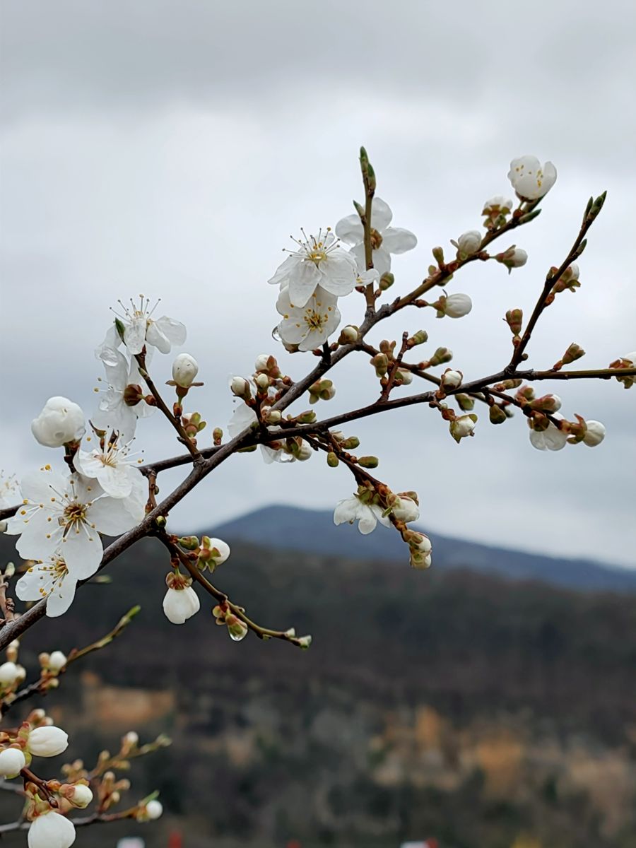 Photographe Belkka303, Photos météo à Krasnodar Krai - Weawow