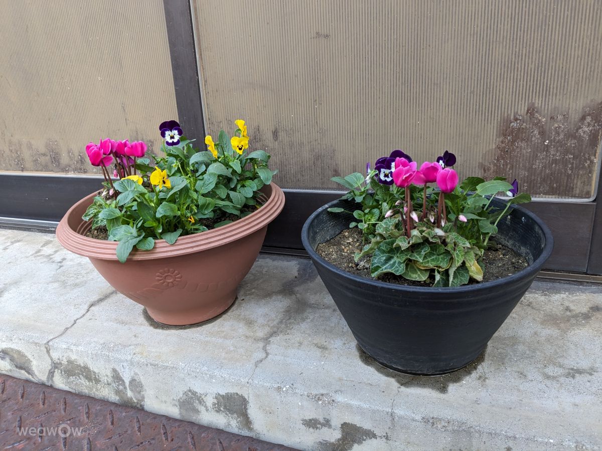 Fotografos あさのジジ, Fotos do tempo em Okayama - Weawow