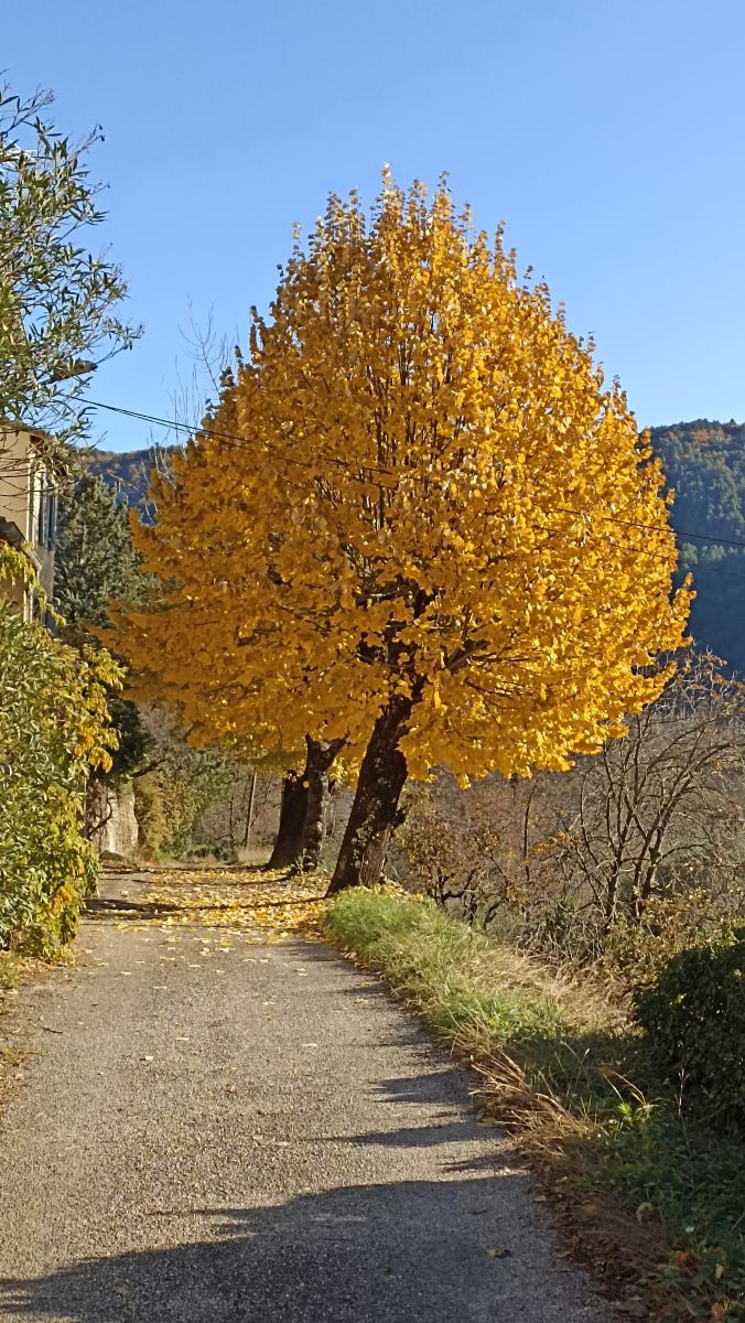 Photos météo à Auvergne-Rhône-Alpes. Prévisions météo avec de superbes photos de leevb