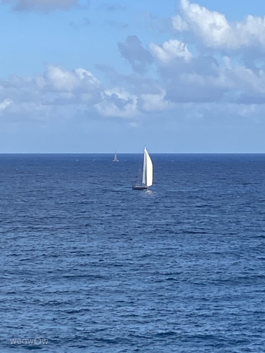 Weather Photos in Jamaica. Weather forecasts with beautiful photos by LadyLesa