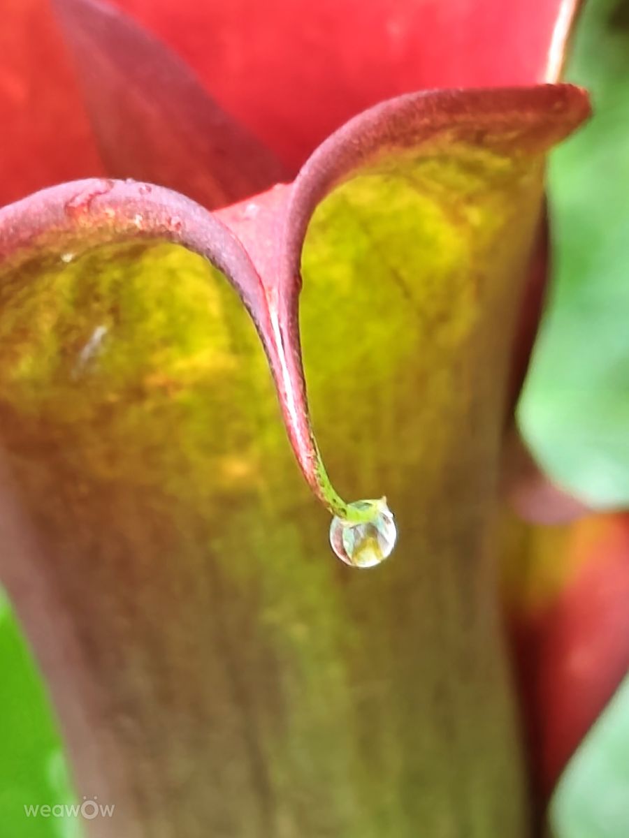 Wetter Photos Slowenien. Wettervorhersagen mit schönen Fotos von Anamarija