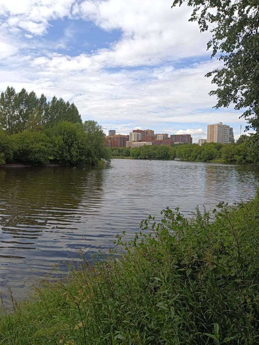 Photographer Amanda_and_Valdemar_Che, Weather Photos in Izmaylovo District - Weawow