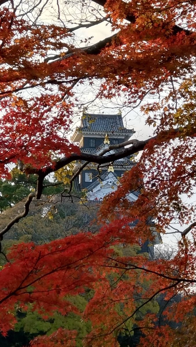 Photographer あさのジジ, Weather Photos in Okayama - Weawow