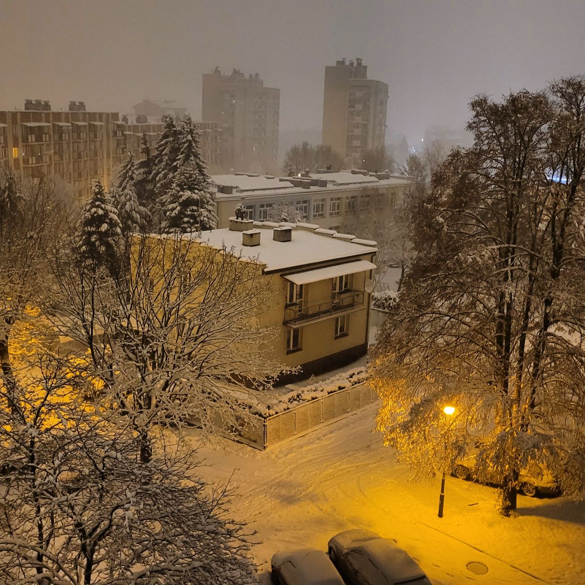 ジェシュフの天気写真. KristofRossoの美しい写真による天気予報