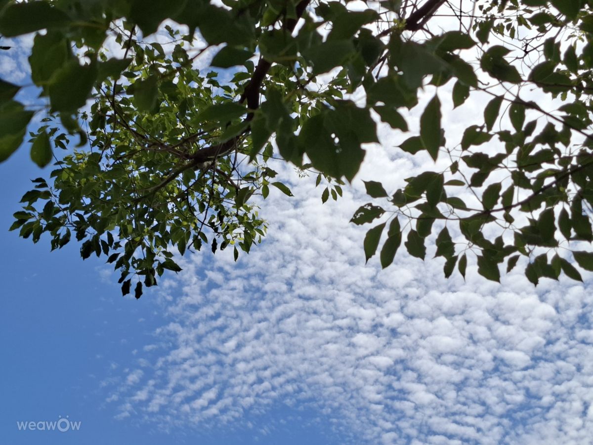 Photographe Wen-ya Huang, Photos météo à Kaohsiung - Weawow