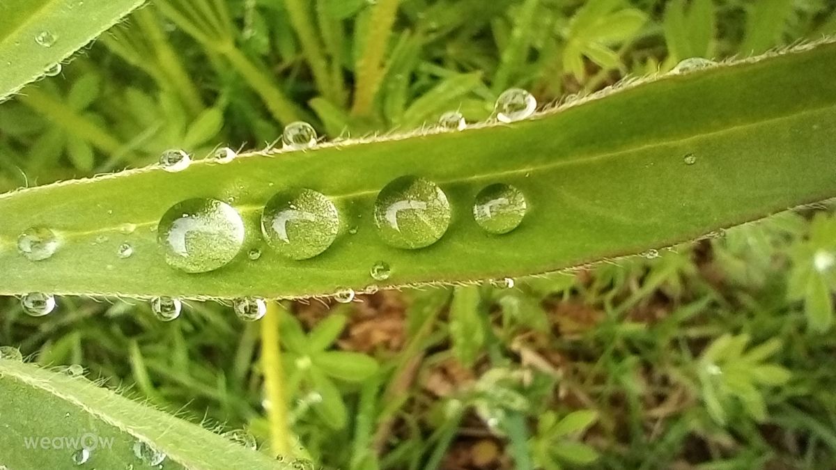 Fotos sobre el clima en Tampere. Pronósticos del tiempo con hermosas fotos de Pita Pe Vatra