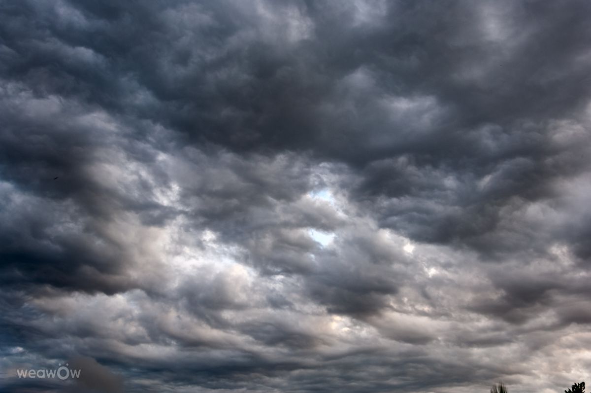 Photograph Franco44, Wetter Photos Florianópolis - Weawow