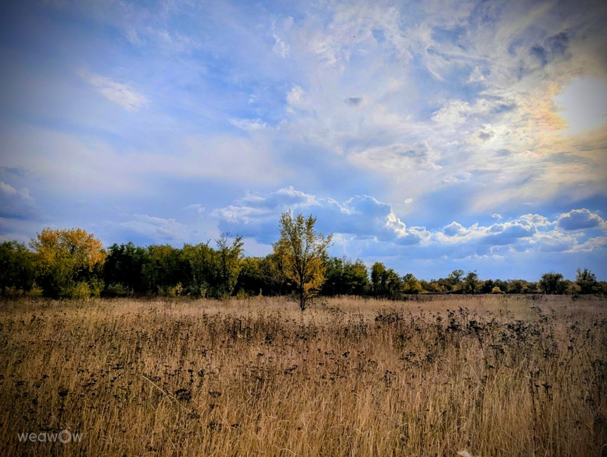 Fotos sobre el clima en Pavlohrad. Pronósticos del tiempo con hermosas fotos de ValeShtefan