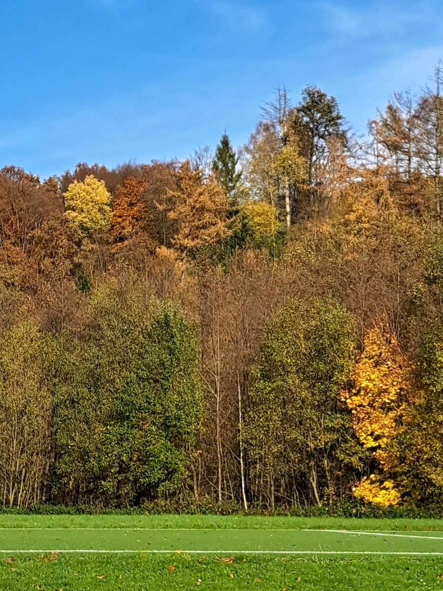 Fotografos NikolausMinas, Fotos do tempo em Engelskirchen - Weawow