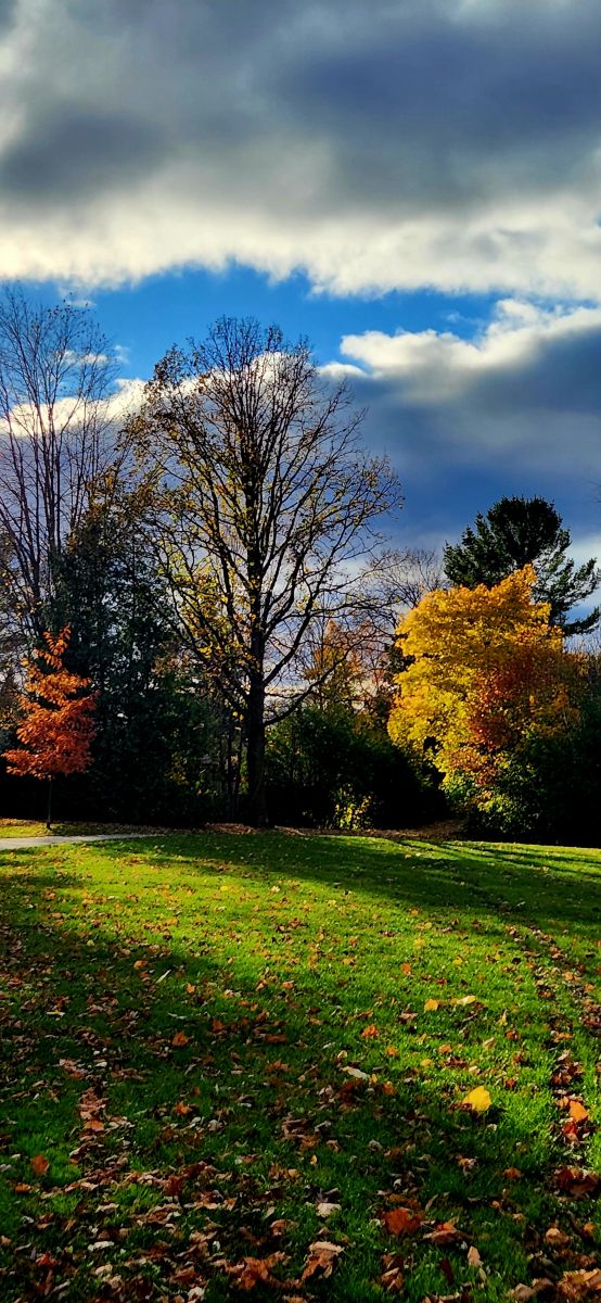 Photograph KevinG, Wetter Photos Gow Park - Weawow