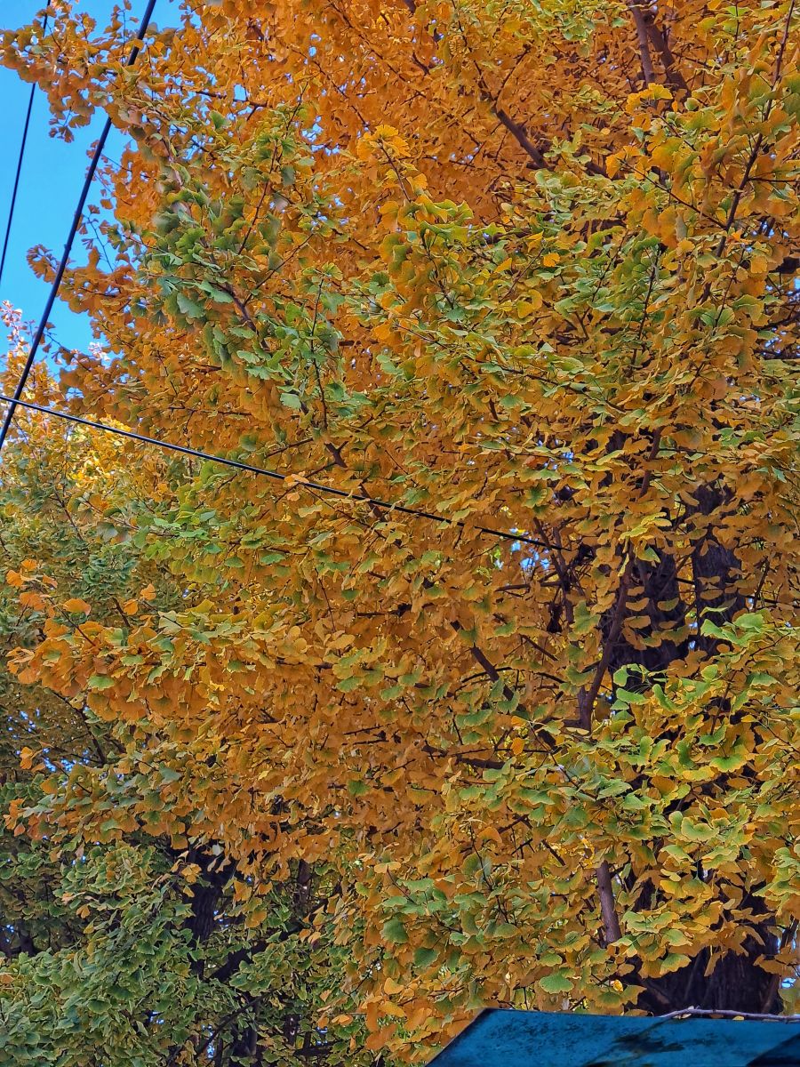 Weather Photos in South Korea. Weather forecasts with beautiful photos by JohnHaroldKim